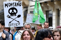 Sulla scomparsa del marchio Monsanto