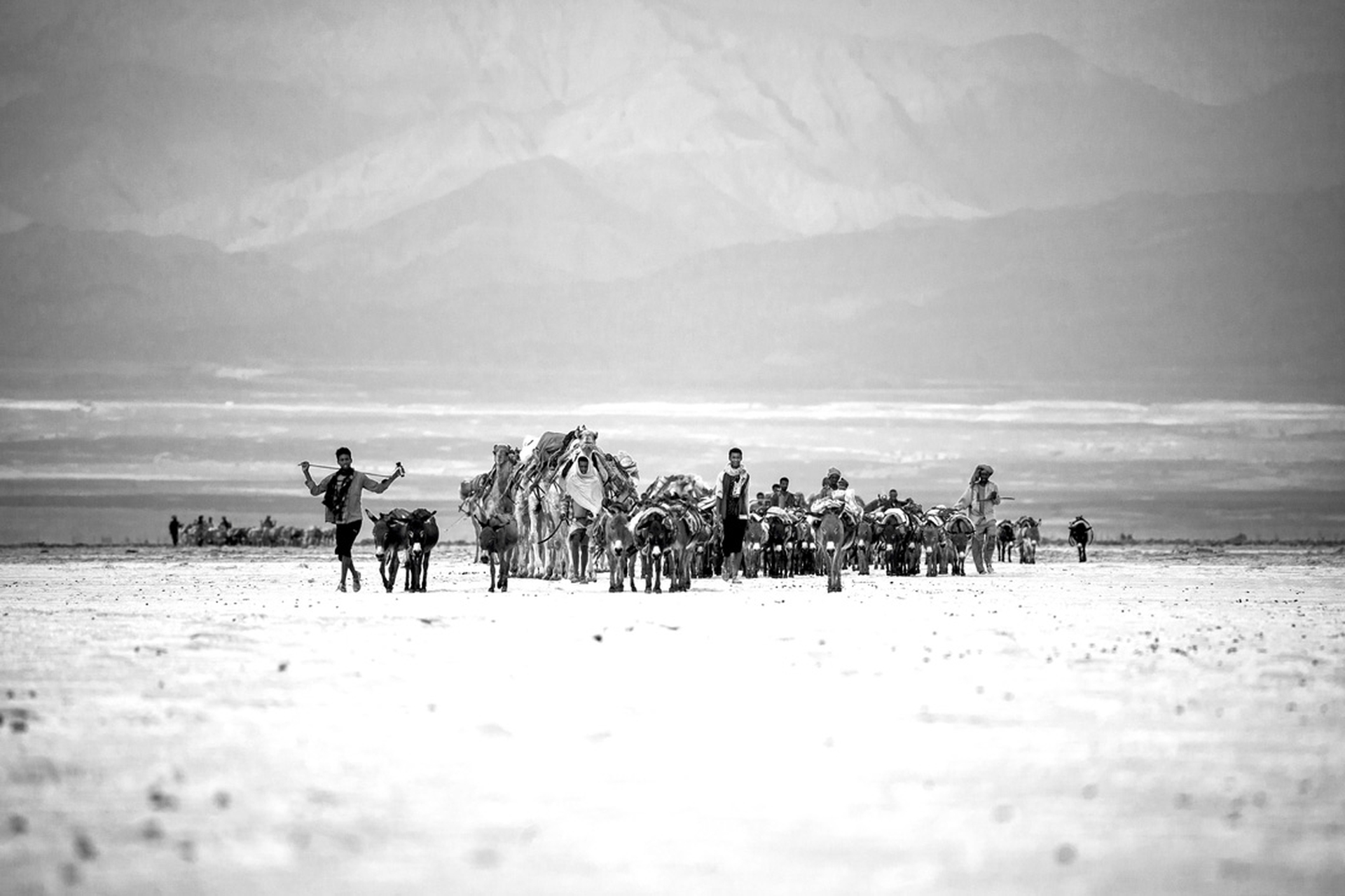 Scatti fatti durante i viaggi di Mille battute