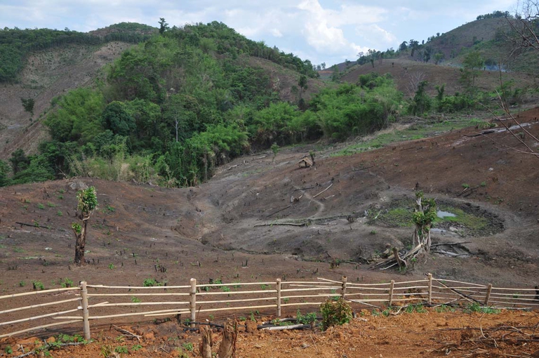 Nello Stato Kayah i contadini praticano la coltivazione itinerante del "taglia e brucia". Sebbene vivano in queste zone da generazioni, non viene riconosciuto loro il diritto alla terra. Copyright Tom Kramer for Transnational institute
