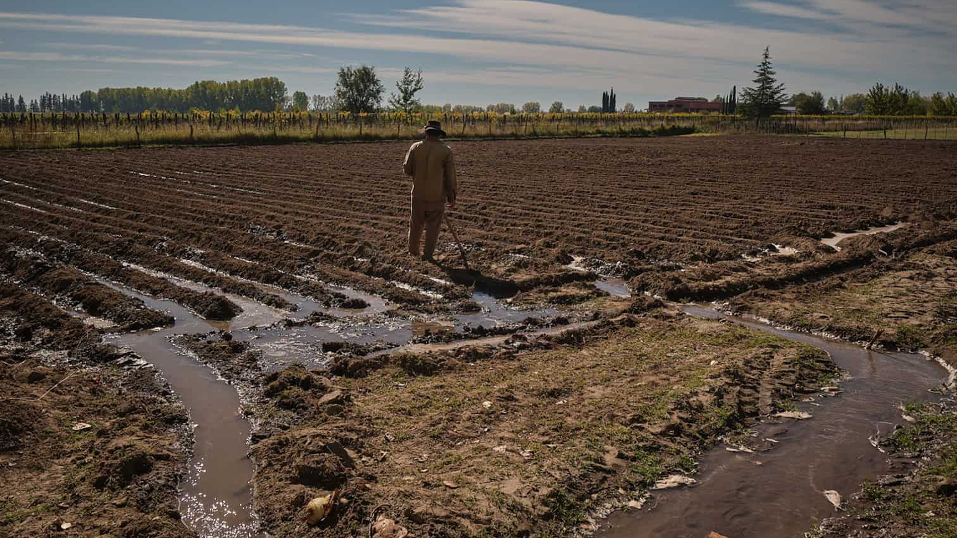 Vino y cambio climatico en Argentina