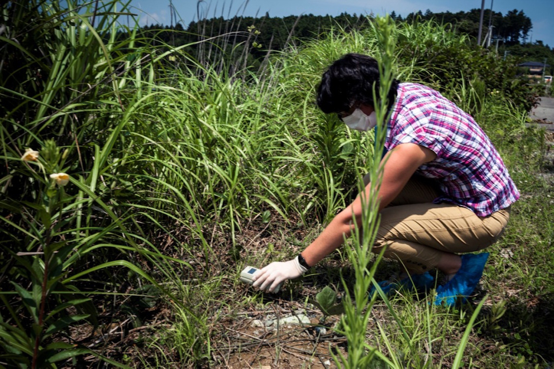Fukushima-Green-Cross-by-Franck-Vogel-HD-20