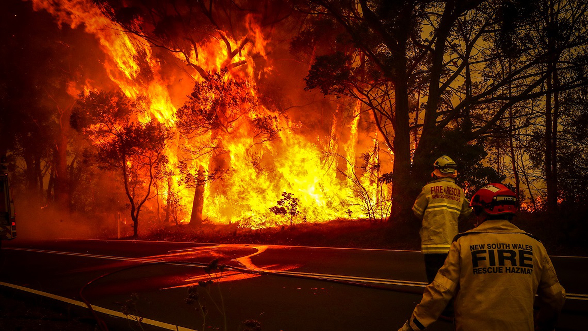 Australia Wildfires The Extent Severity And Consequences Of An Environmental Tragedy Lifegate