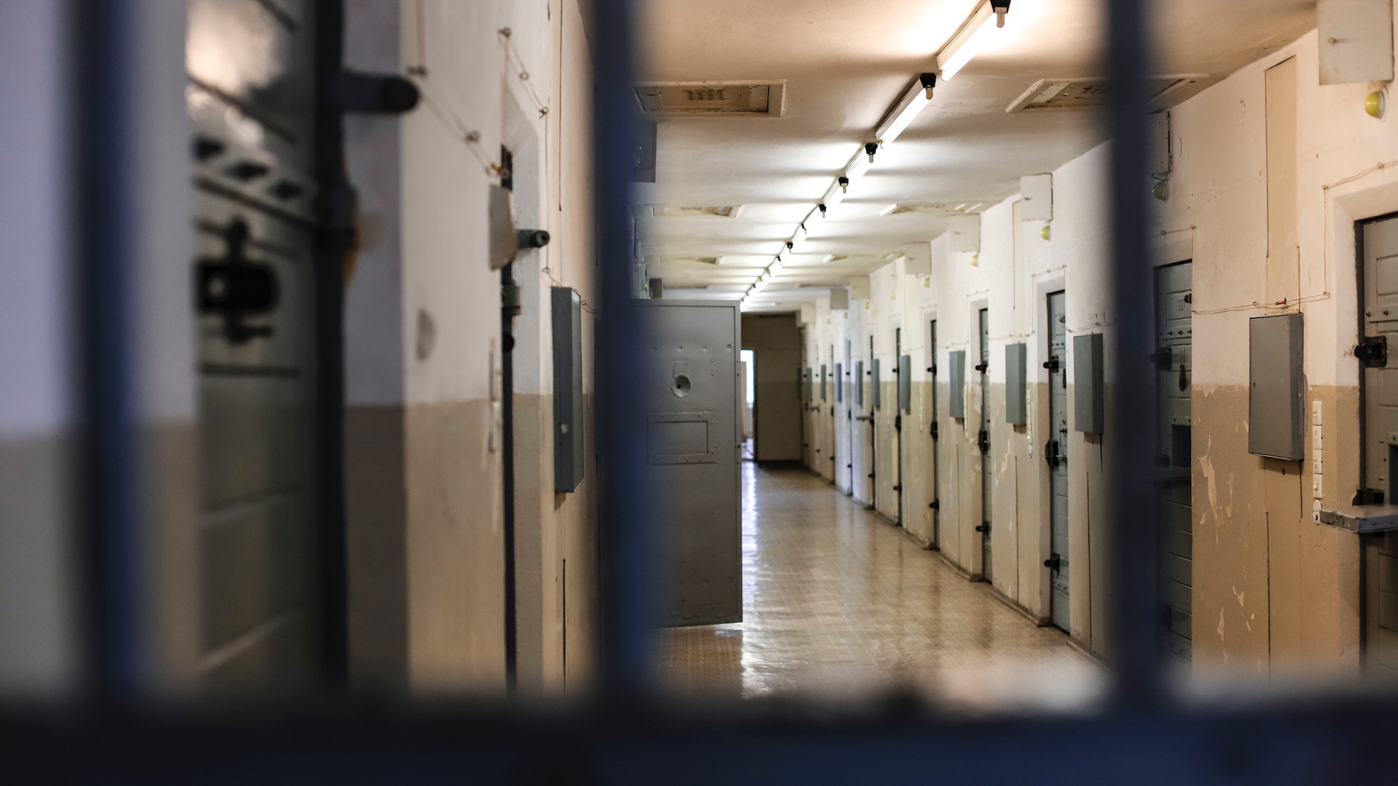 Chi è Ilaria Salis, l'antifascista italiana detenuta da 10 mesi in Ungheria  - LifeGate