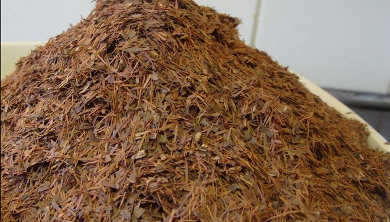 Corteccia di Pau d'arco per infusi e decotti