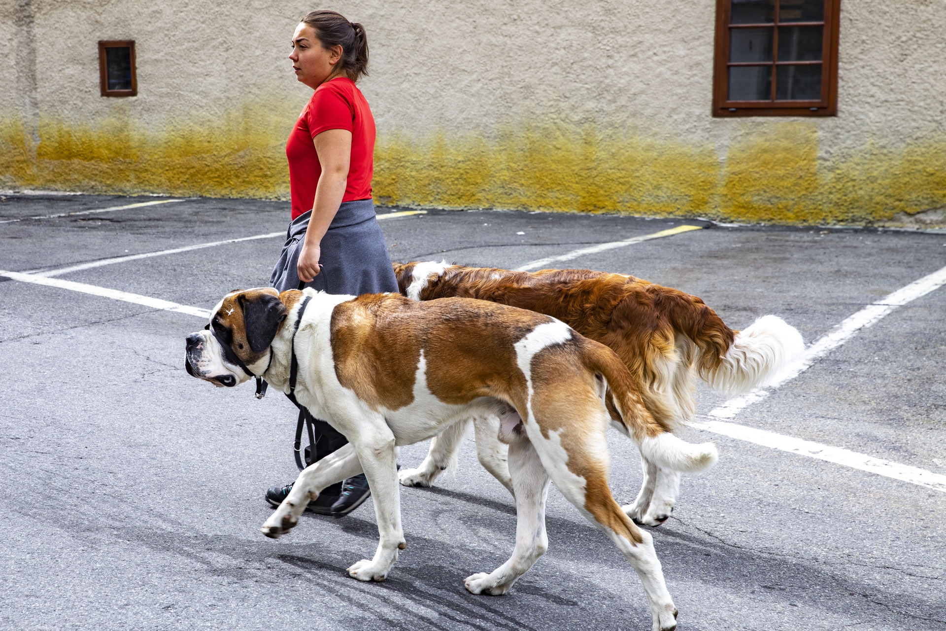 Educ_tour_stampa_settembre 2022 (1)