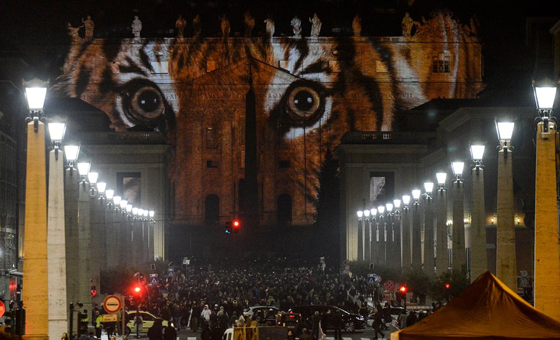 Fiat Lux The Vatican Becomes Home To The World s Richest Biodiversity Fiat Lux The Vatican Becomes Home To The World s Richest Biodiversity