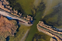 Ucraina, ora il delta del Danubio è ancora più selvatico: rimosse 10 vecchie dighe