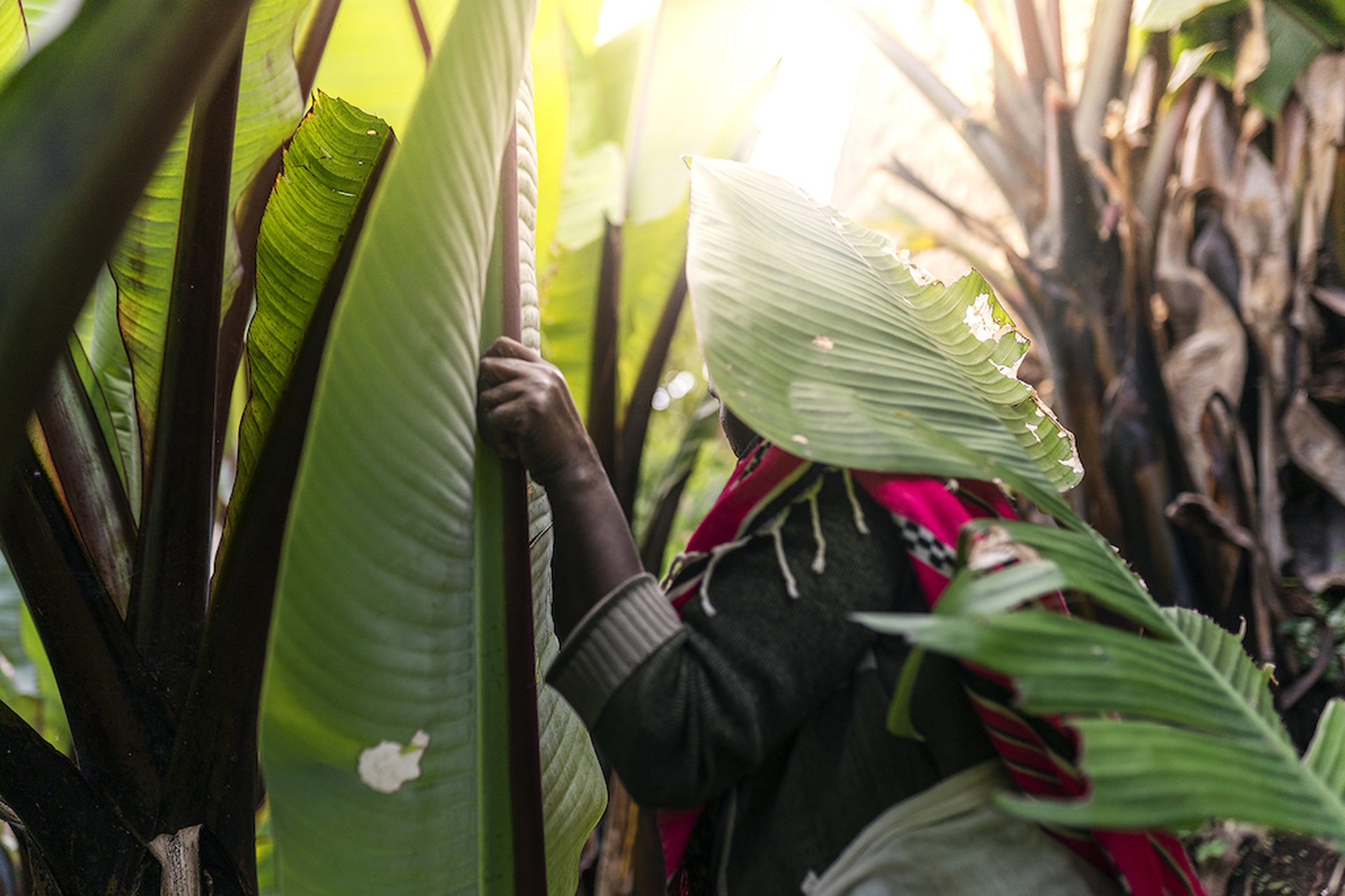 Etiopia, un paese che cambia