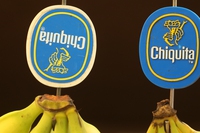 Il colosso Chiquita condannato per il sostegno a un gruppo terrorista colombiano