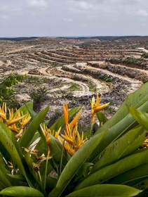 Earth Overshoot Day 2020 comes three weeks later than last year