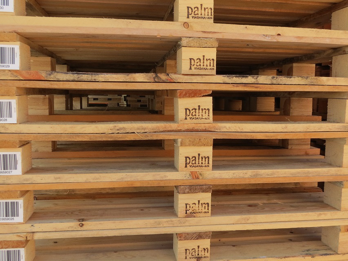 Il Lato Oscuro Dei Pallet