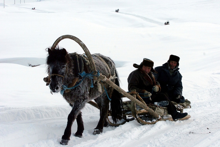 Abitanti di una comunità artica a bordo di un calesse