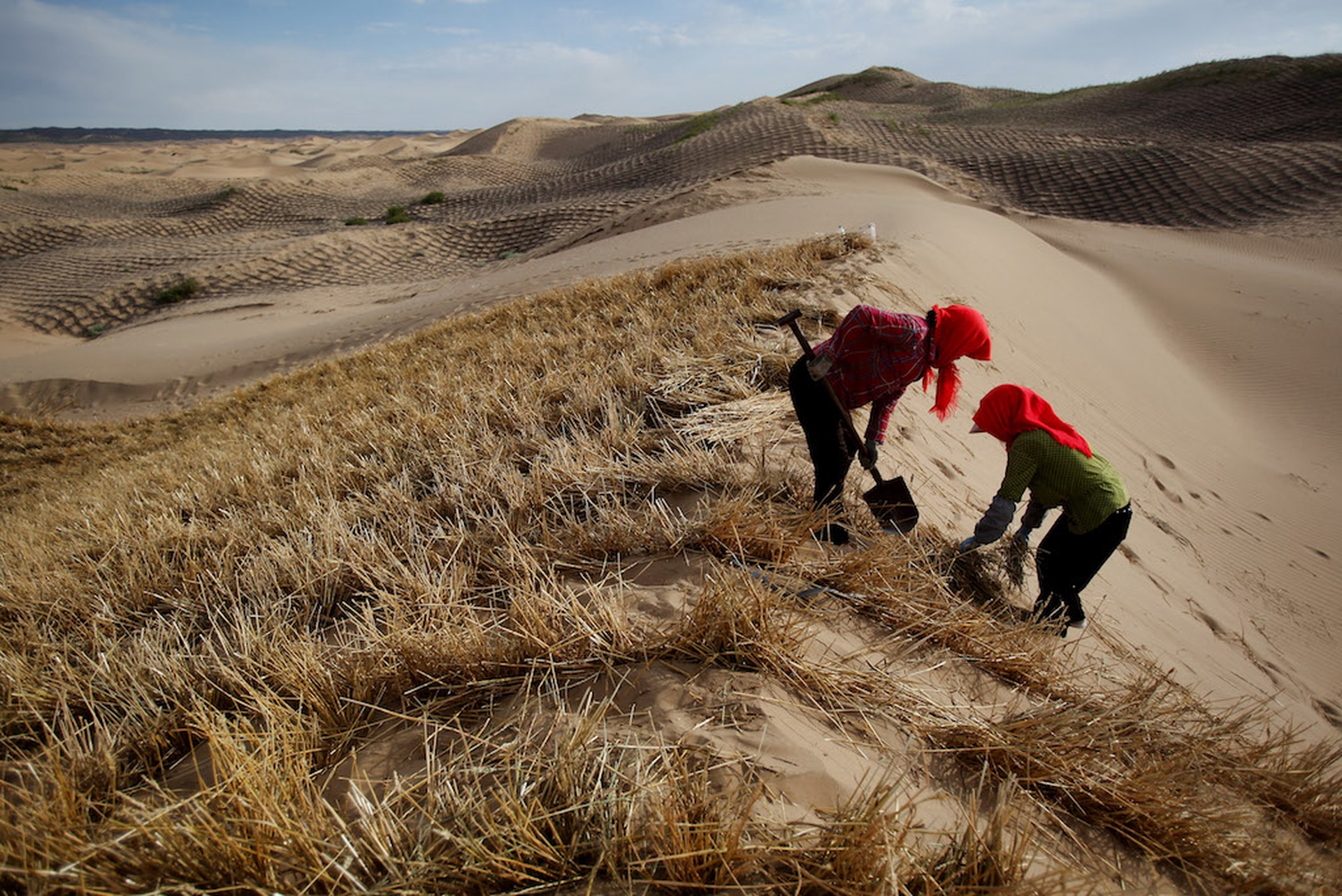 Female farmerrs in China
