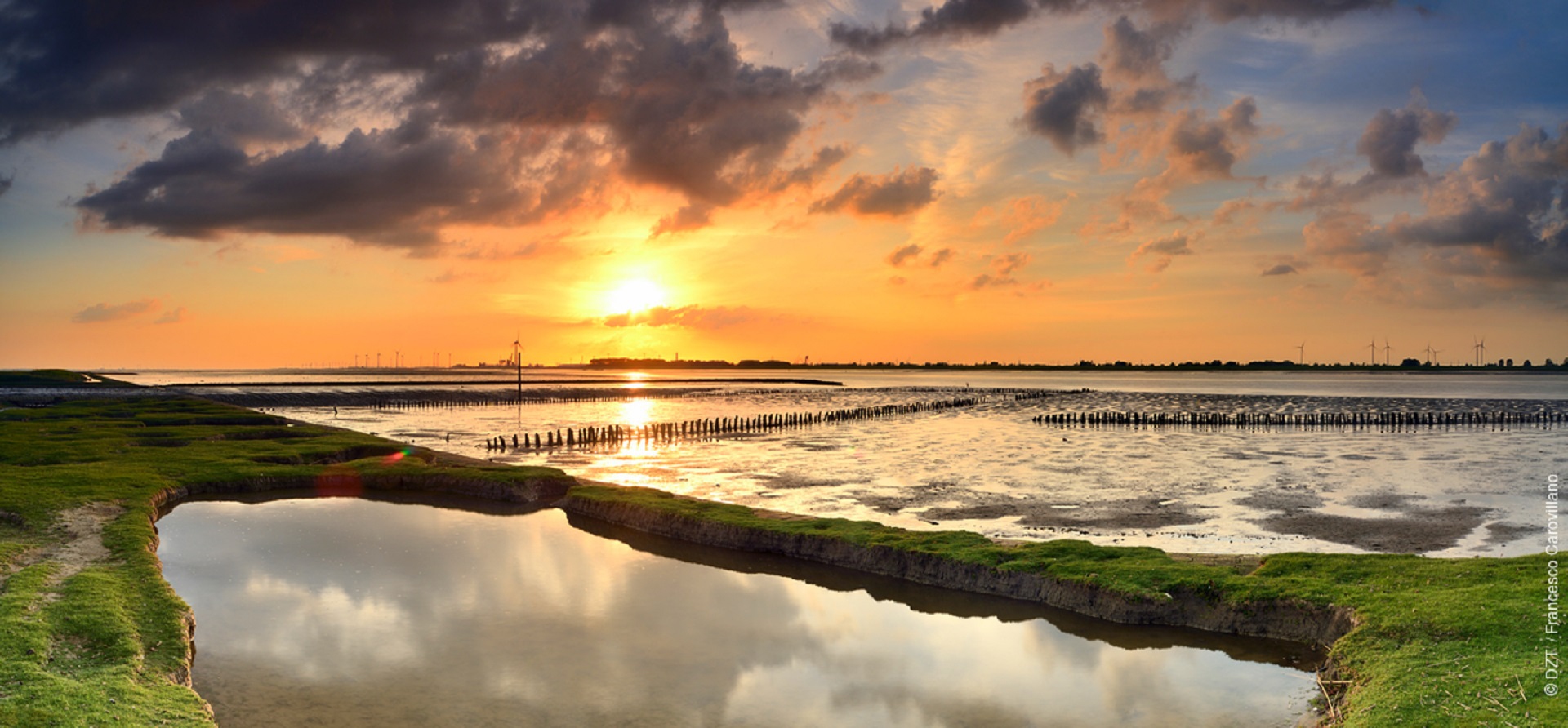 Visitare i Parchi nazionali in Germania