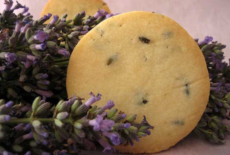 Is Lavender Poisonous to Eat? - Healthy Slow Cooking