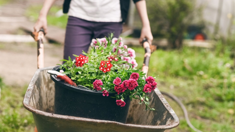 garden therapy con i fiori