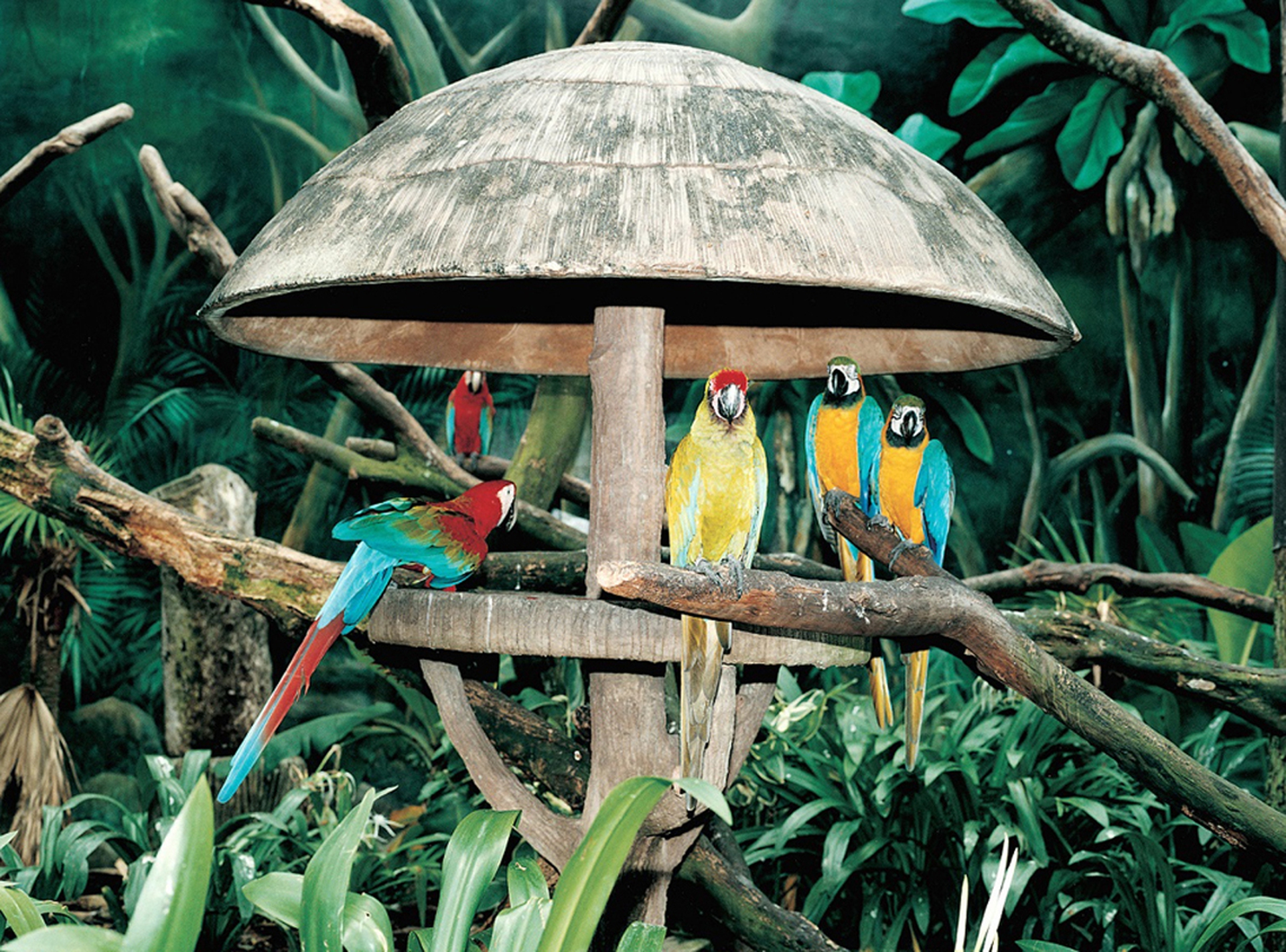 L'apparenza di ciò che non si vede