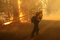 California, un gigantesco incendio devasta foreste e vigneti storici