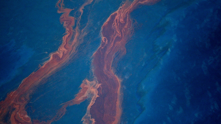 petrolio mare deepwater horizon