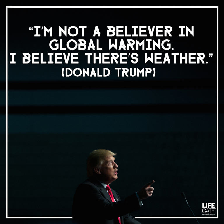 trump-quote
