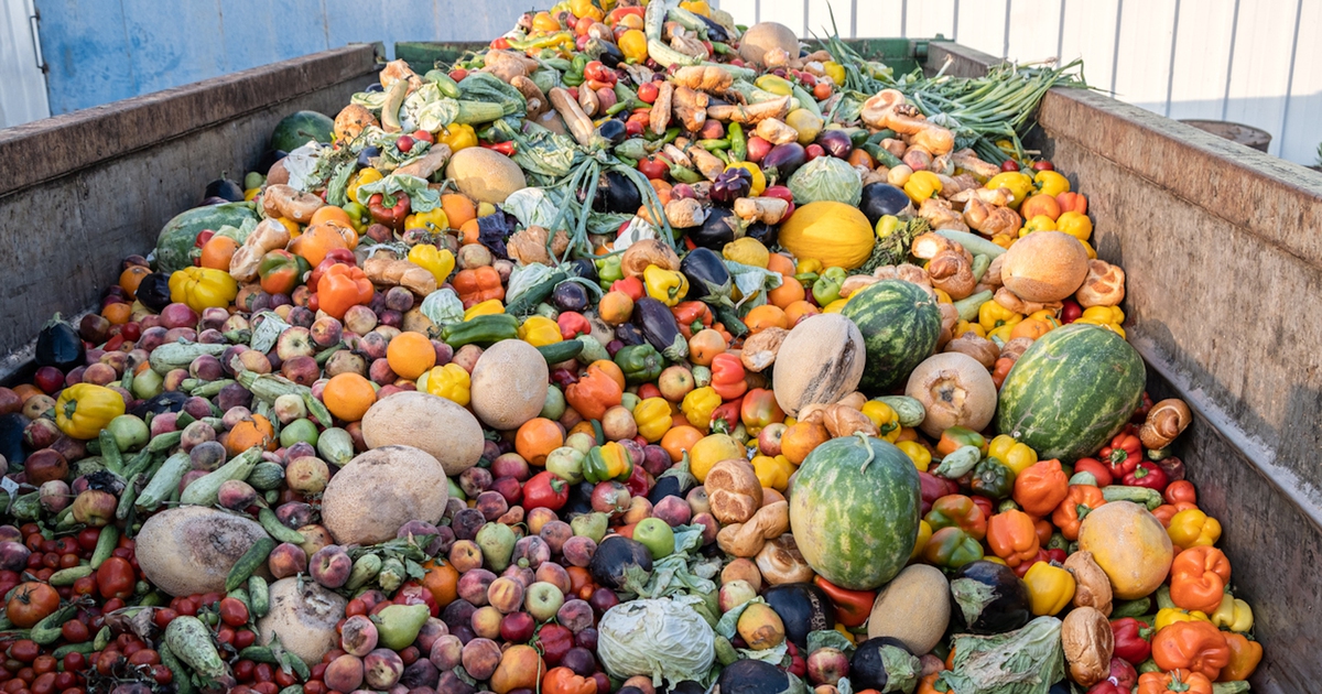 Con Il Cibo Sprecato Potremmo Nutrire Chi Soffre Di Fame Nel Mondo