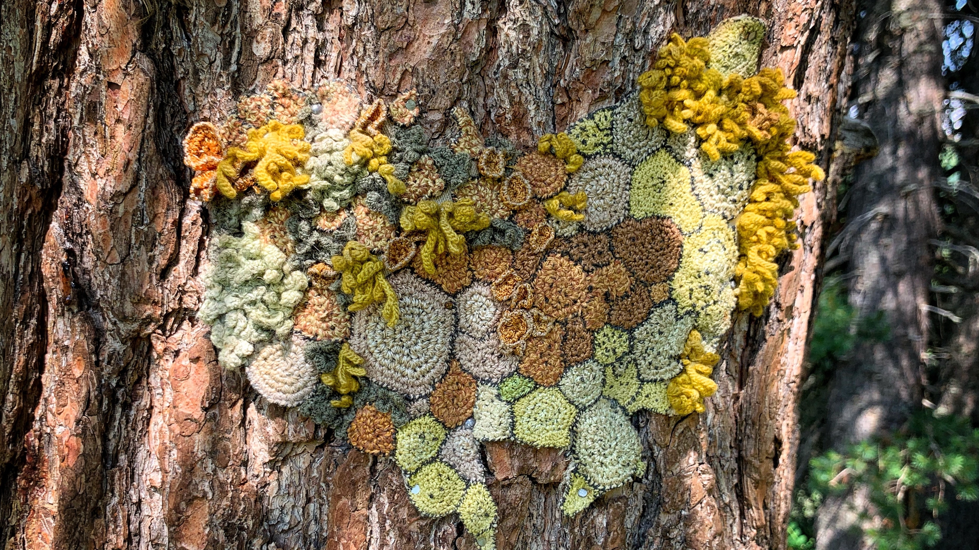 SIMBIOSI di Hannah Streefkerk RESPIRART 2019 ph Eugenio Del Pero