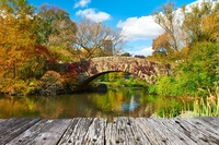 Gli orti botanici di New York
