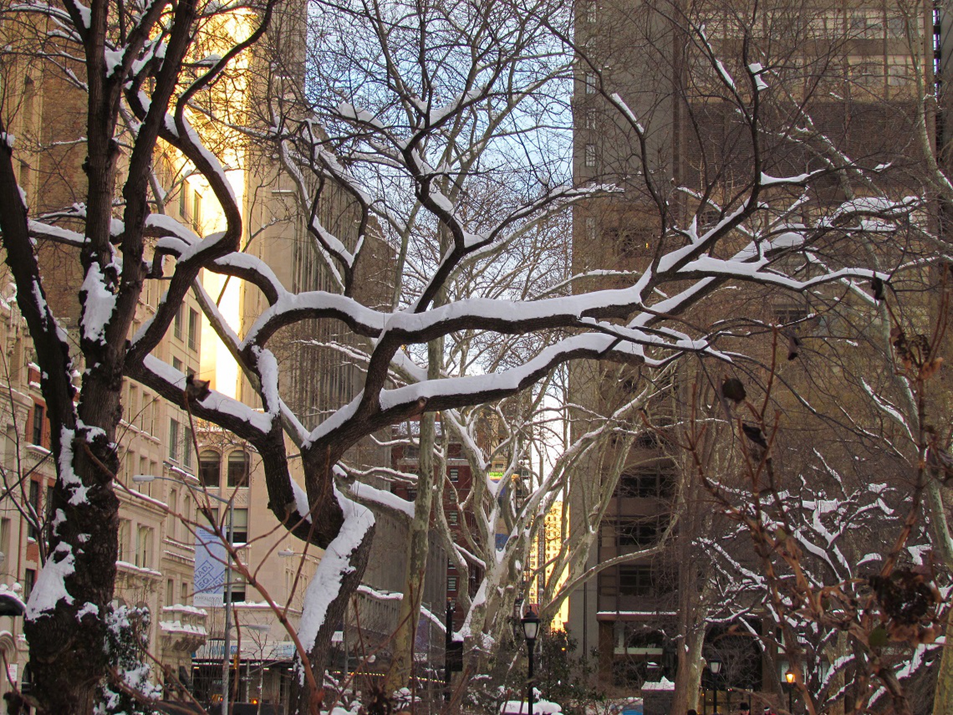 New York durante la bufera di neve Jonas © Luisa Gattone