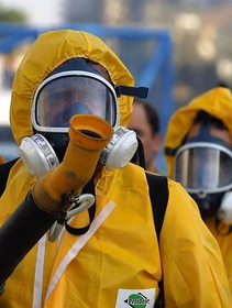 Cos’è il virus zika
