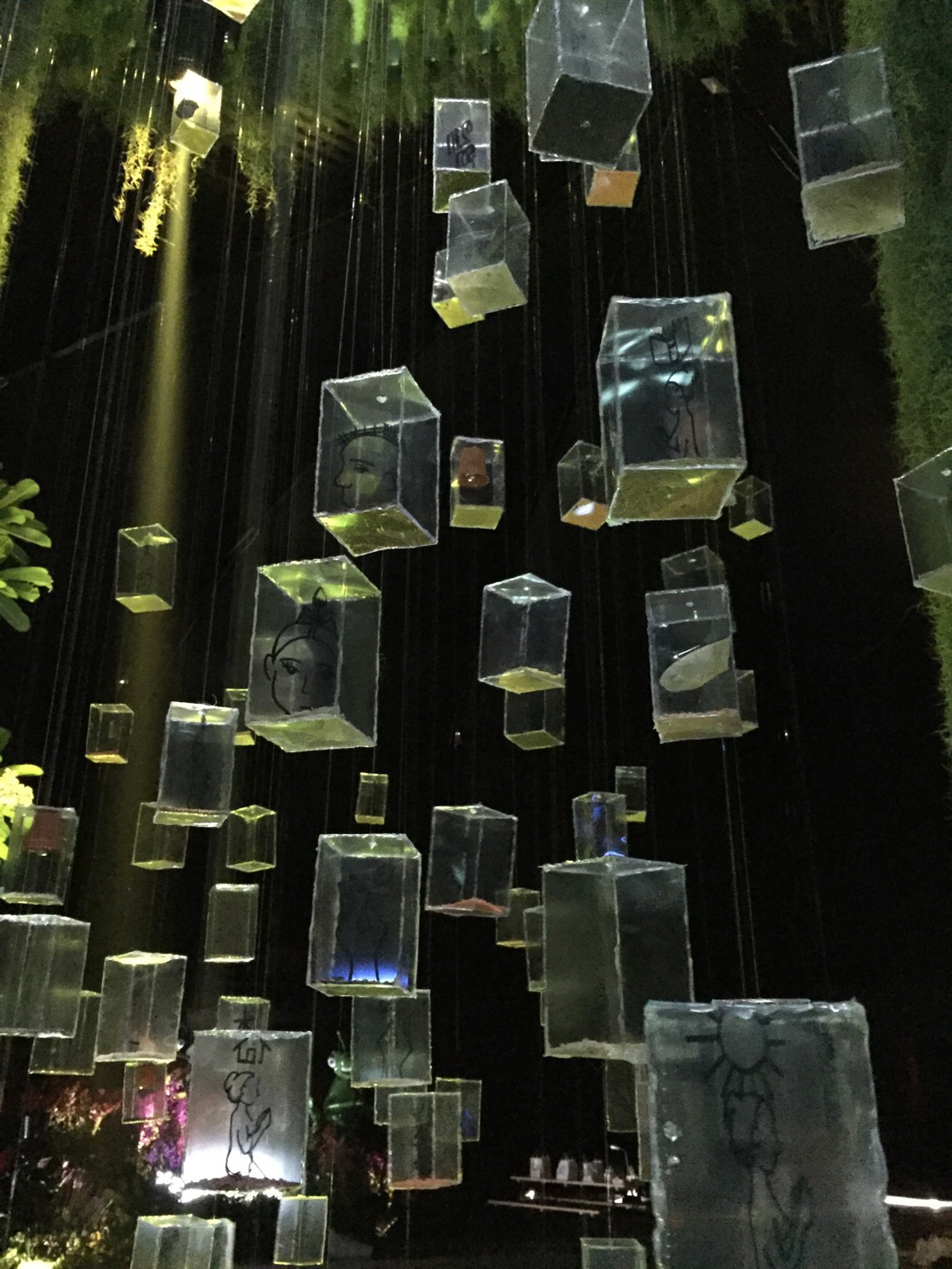 I box trasparenti appesi nel giardino