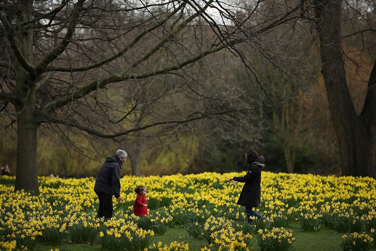 Una famiglia gioca in un prato fiorito