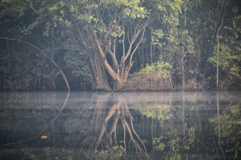 Nella foresta amazzonica ci sono 400 miliardi di alberi, cruciali per acqua e ossigeno © Luca Parisse