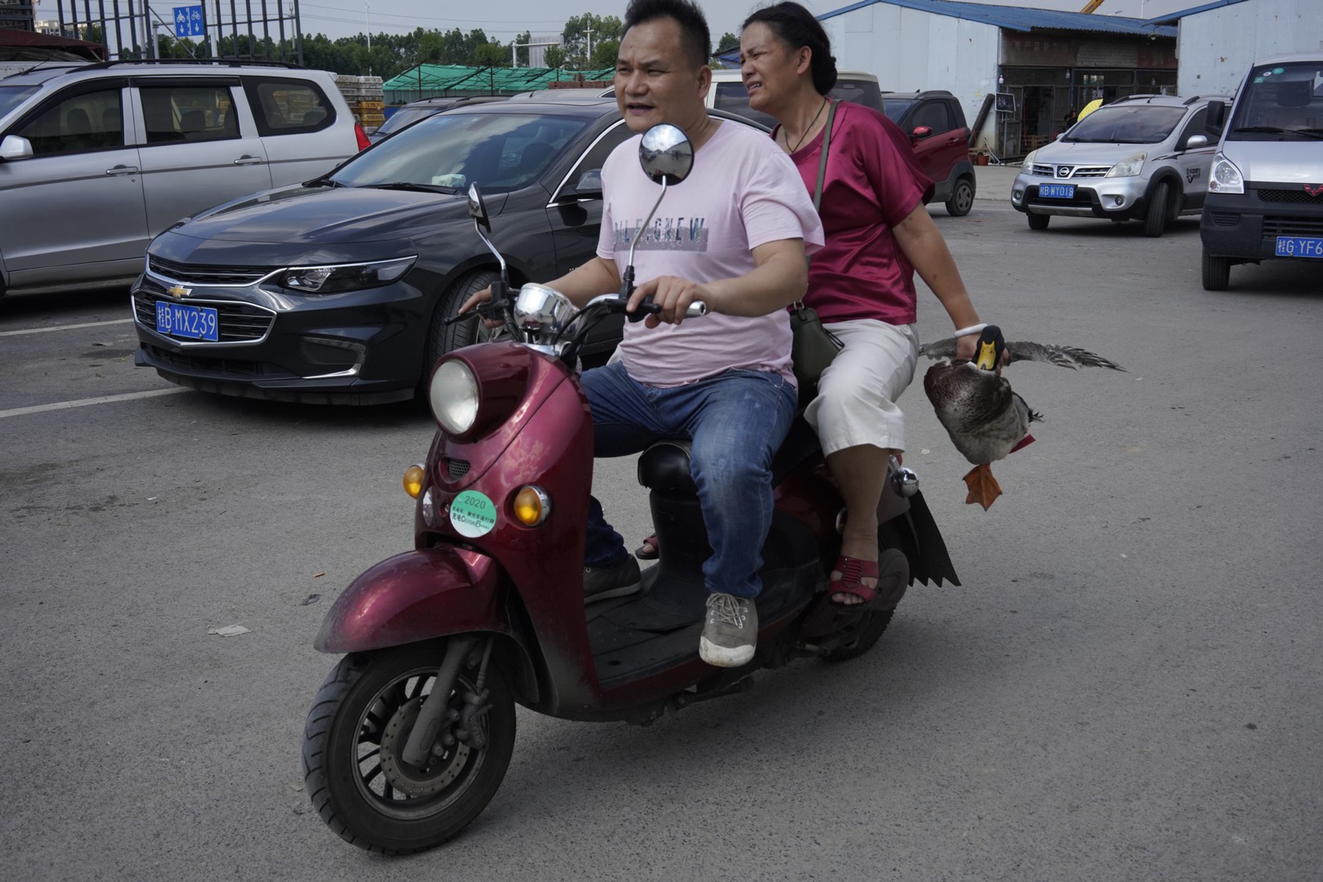 Un’immagine dai wet market in Cina