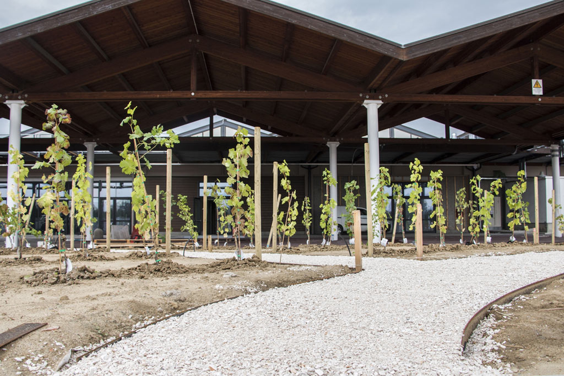 Eataly World, the mini-city dedicated to food in Bologna, Italy