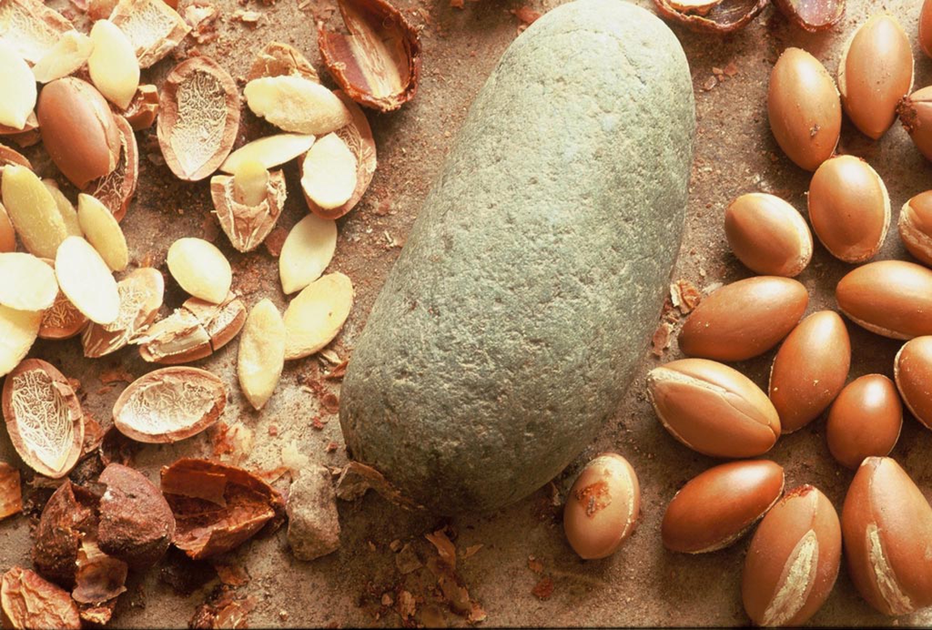 Argan-toccasana-per-capelli-sfibrati-e-non-solo-2