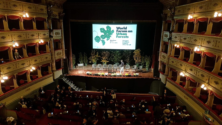 Primo Forum Mondiale sulle Foreste Urbane_Mantova_FAO_Foreste urbane