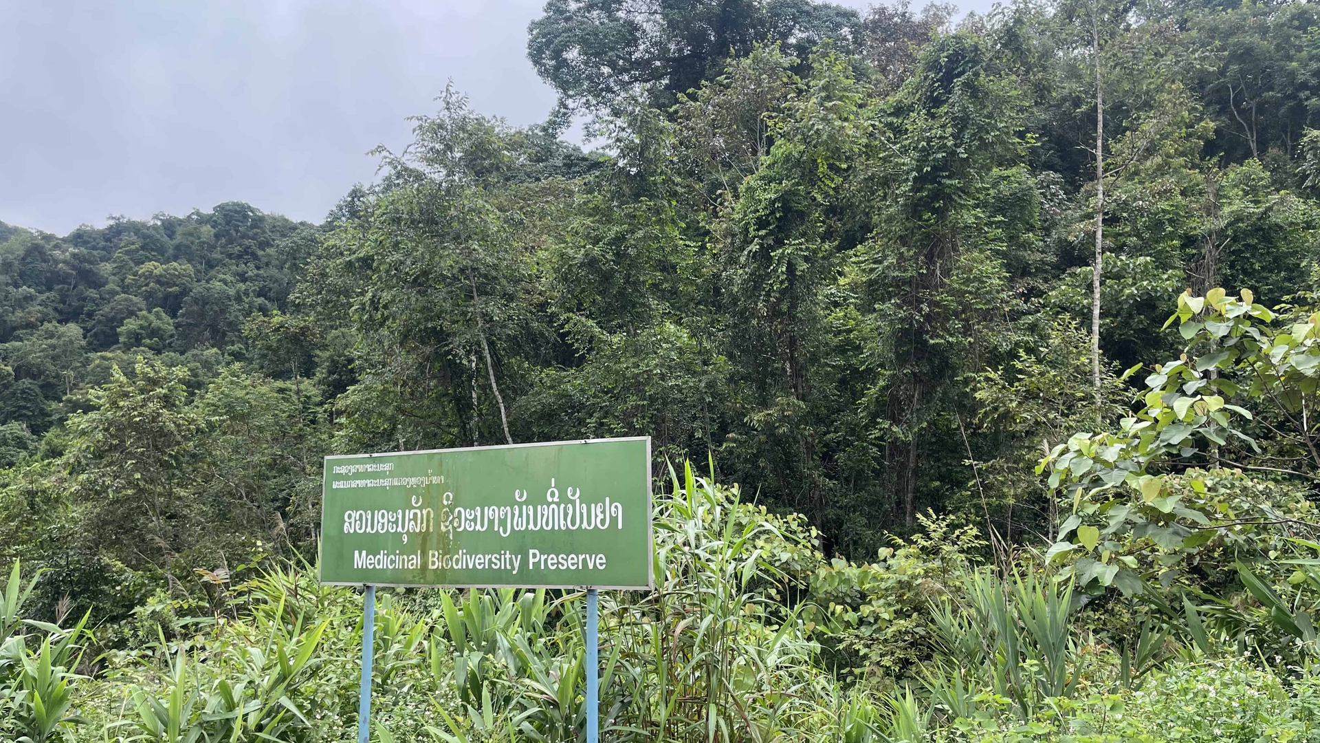 Area protetta di Nam Ha, in Laos