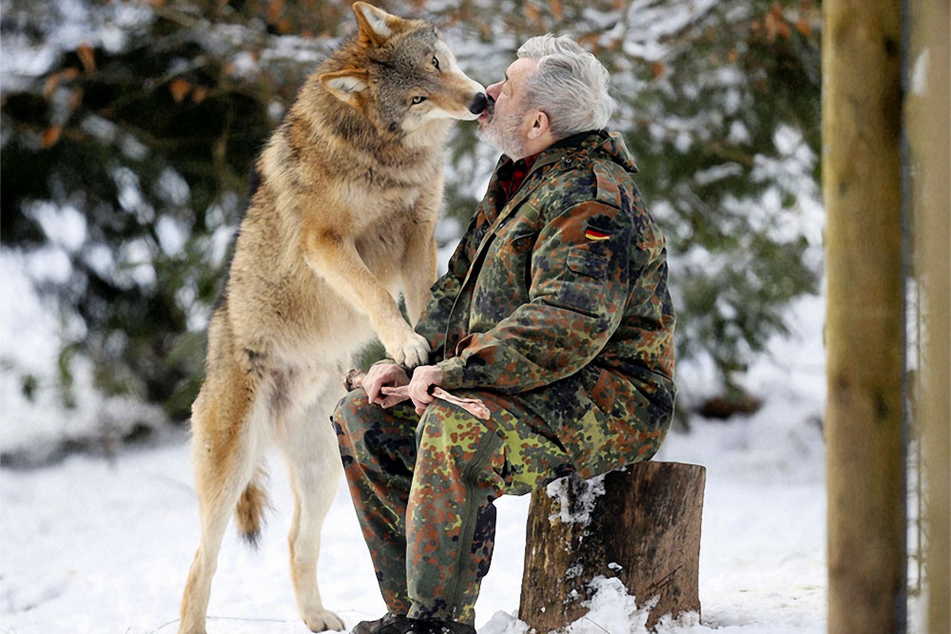 Storie di uomini e di lupi LifeGate