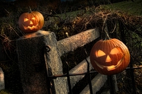 Halloween, fra dietologia, fitoterapia e paganesimo