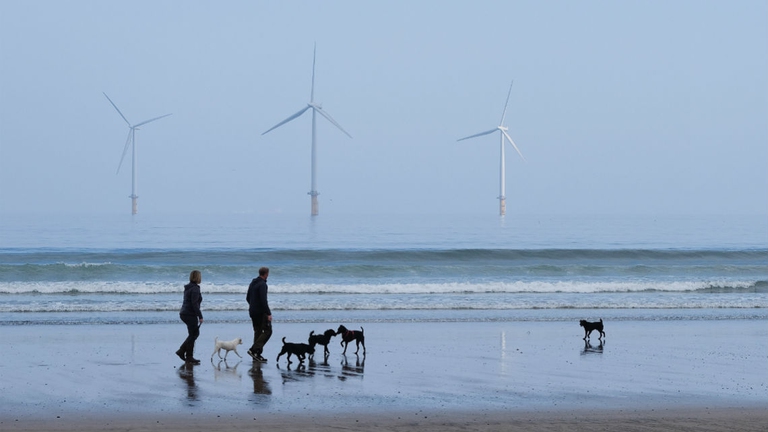 offshore wind energy