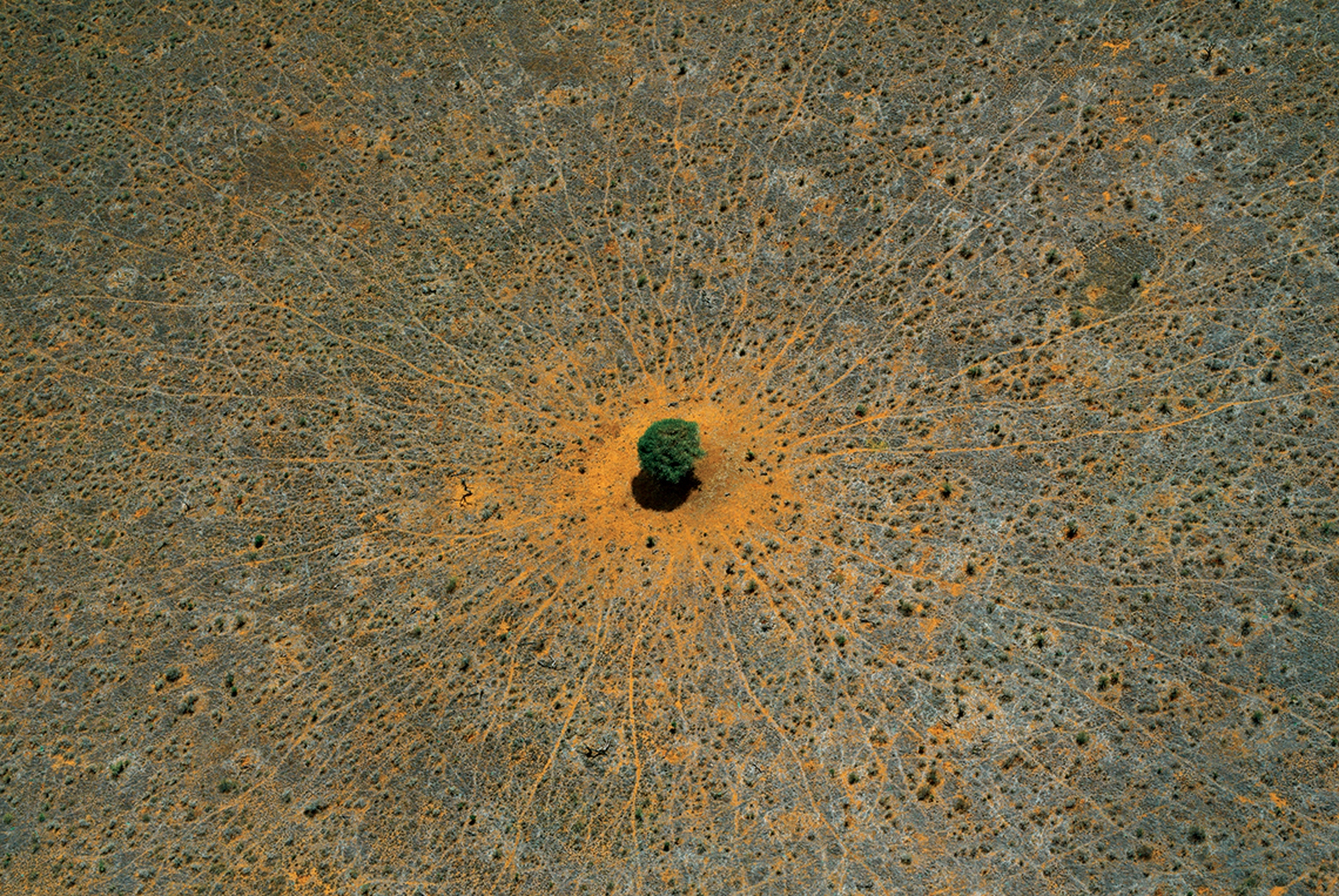 March, 2016 Amani calendar