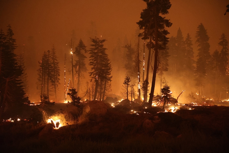 California, l’incendio di Caldor continua a espandersi. Sfollate migliaia di persone