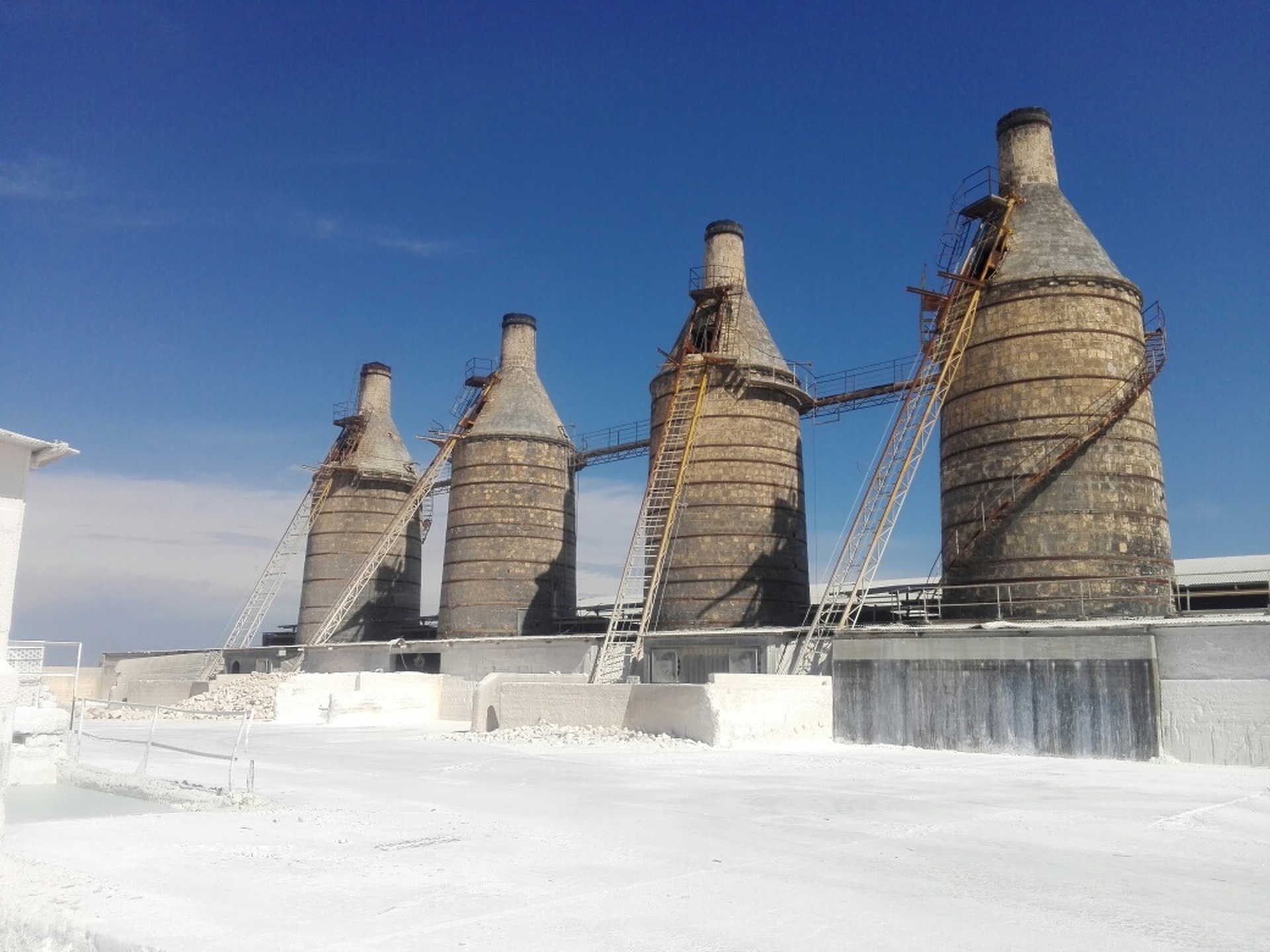 Giornata Fai d'autunno