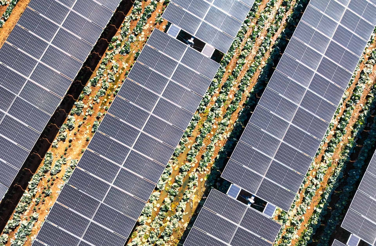 Agrivoltaico