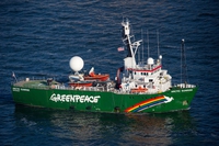 Un giorno a bordo di una nave di Greenpeace, com’è cambiata l’organizzazione ambientalista