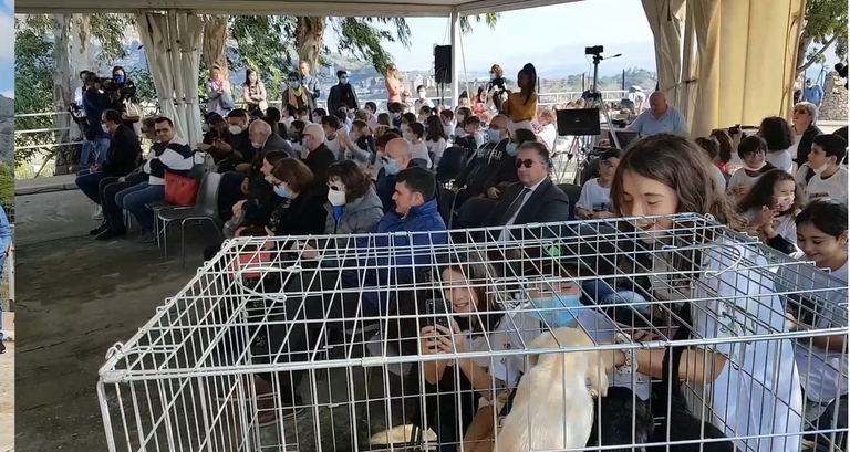 helen keller manifestazione