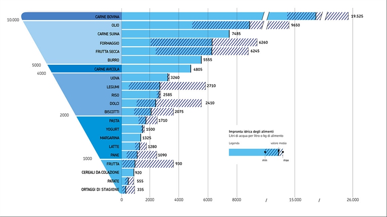 La Water Footprint è la misura dell'acqua usata, inquinata o evaporata necessaria per produrre dati alimenti.