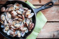 La pesca delle vongole di Chioggia e Venezia è sostenibile
