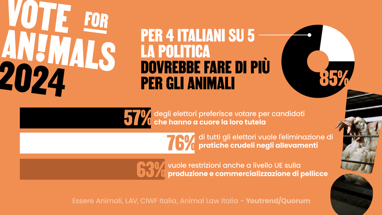 Vote for animals Anche gli animali votano elezioni europee 2024 LAV Italia