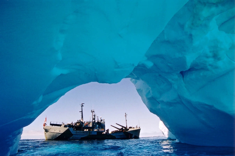 Le foto del libro dei 40 anni di Sea Shepherd